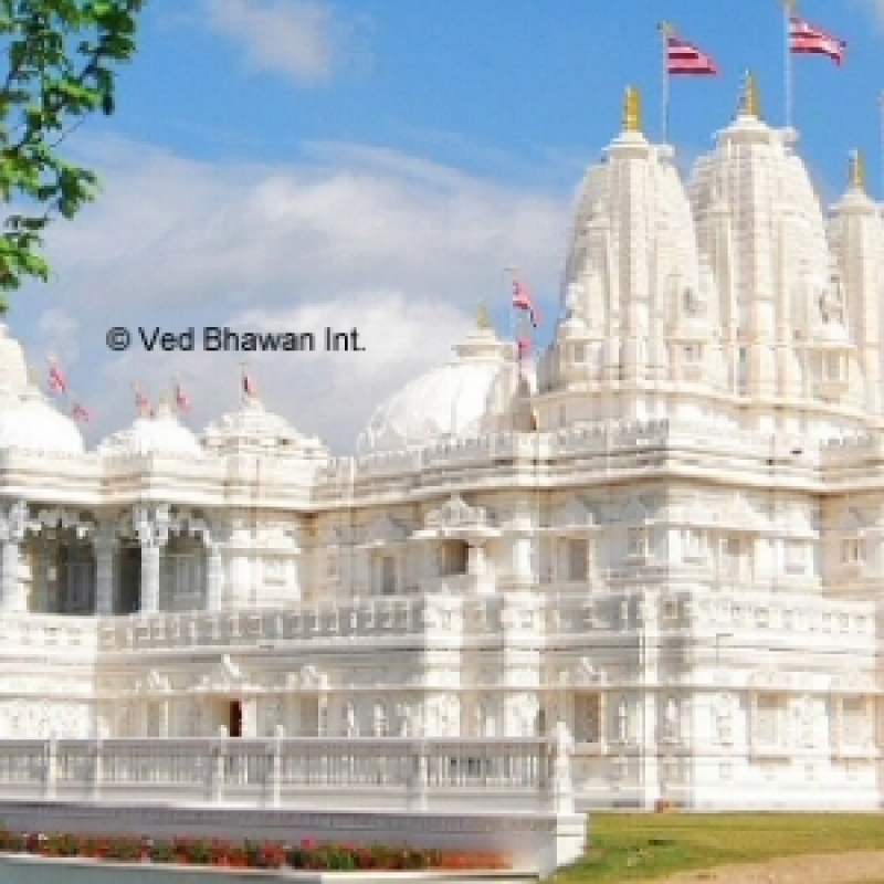 Business Anniversary High Capacity Yagya